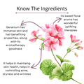 Geranium Essential Oil