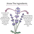 Lavender Essential Oil