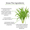 Lemongrass Essential Oil