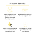 Visage Oil Balance Facial Moisturizer