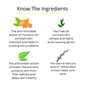 Visage Oil Balance Facial Moisturizer