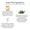 Revivify Anti Aging Face Pack